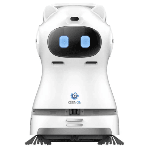 KLEENBOT C30